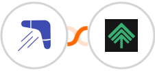 Optinly + Bumpups Integration