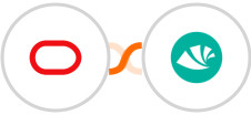 Oracle Eloqua + Alegra Integration