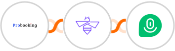 Probooking + VerifyBee + Demio Integration