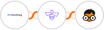 Probooking + VerifyBee + Real Geeks Integration
