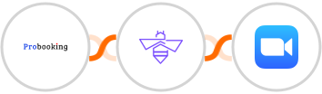 Probooking + VerifyBee + Zoom Integration