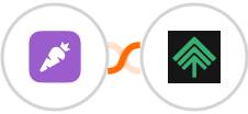 Prospect.io + Bumpups Integration