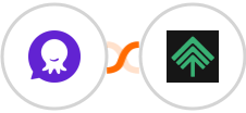 PulpoChat + Bumpups Integration