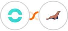 Ringover + MariaDB Integration