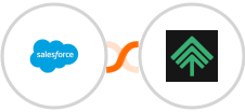 Salesforce + Bumpups Integration