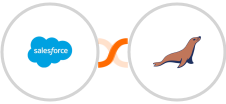 Salesforce + MariaDB Integration