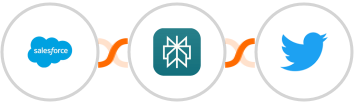 Salesforce + Perplexity AI + Twitter Integration