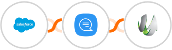 Salesforce + Wassenger + SharpSpring Integration