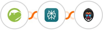 Shippo + Perplexity AI + Mandrill Integration