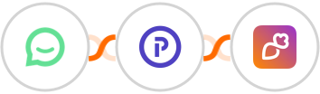 Simplesat + Plutio + Overloop Integration