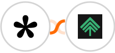 Tally + Bumpups Integration
