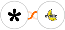 Tally + Evoliz Integration