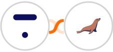 Thinkific + MariaDB Integration
