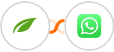 Thrive Themes (Thrive Automator) + WhatsApp Integration