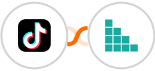 TikTok Lead Generation + Brando Kit Integration