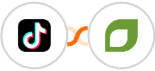TikTok Lead Generation + CoachAccountable Integration