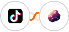 TikTok Lead Generation + Magnetite Integration