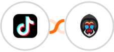 TikTok Lead Generation + Mandrill Integration