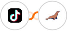 TikTok Lead Generation + MariaDB Integration