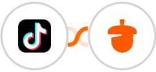 TikTok Lead Generation + Nutshell Integration