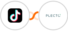 TikTok Lead Generation + Plecto Integration