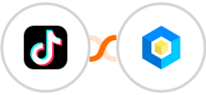 TikTok Lead Generation + ProAbono Integration