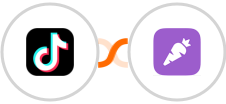 TikTok Lead Generation + Prospect.io Integration