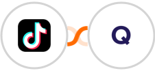 TikTok Lead Generation + Qwary Integration