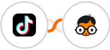 TikTok Lead Generation + Real Geeks Integration
