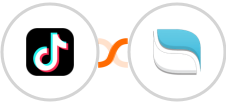 TikTok Lead Generation + Reamaze Integration