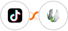 TikTok Lead Generation + SharpSpring Integration