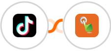TikTok Lead Generation + SMS Gateway Hub Integration