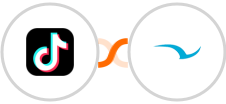TikTok Lead Generation + SWELLEnterprise Integration