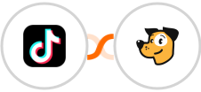 TikTok Lead Generation + Unisender Integration