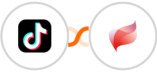 TikTok Lead Generation + Visma eAccounting Integration
