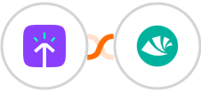 Timely Time Tracking + Alegra Integration