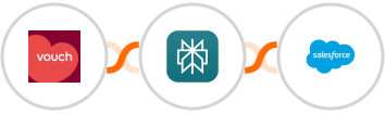 Vouch + Perplexity AI + Salesforce Integration