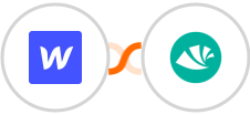 Webflow + Alegra Integration