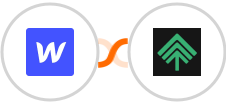 Webflow + Bumpups Integration