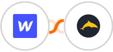 Webflow + Ezekia Integration
