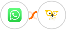 WhatsApp + BirdSend Integration