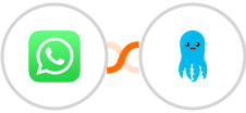 WhatsApp + Builderall Mailingboss Integration