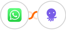 WhatsApp + EmailOctopus Integration