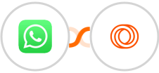 WhatsApp + Loops Integration