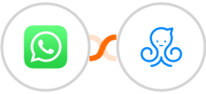 WhatsApp + ManyChat Integration