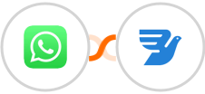 WhatsApp + MessageBird Integration