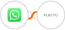 WhatsApp + Plecto Integration