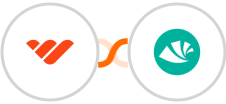 Whop + Alegra Integration