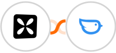 Wisepops + Moneybird Integration