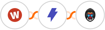 Wufoo + Straico + Mandrill Integration